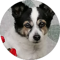 user_profile